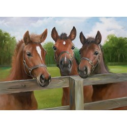 Ravensburger (14566) - "Ponies" - 500 piezas