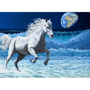 Grafika (02583) - Schim Schimmel: "Wave Runner" - 300 piezas