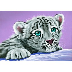 Grafika Kids (01954) - Schim Schimmel: "Sambuca's Friend" - 100 piezas