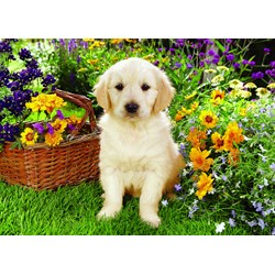 Trefl (371604) - Greg Cuddiford: "Labrador Puppy in the Garden" - 500 piezas