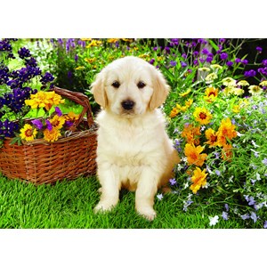 Trefl (371604) - Greg Cuddiford: "Labrador Puppy in the Garden" - 500 piezas