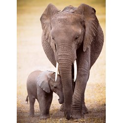Eurographics (8300-0270) - "Elephant & Baby" - 300 piezas