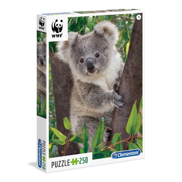 Clementoni (29054) - "Baby Koala" - 250 piezas