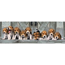 Clementoni (39435) - "Beagles" - 1000 piezas