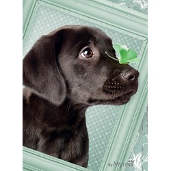 Ravensburger (14194) - "Lucky Puppy" - 500 piezas