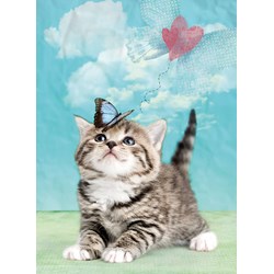 Ravensburger (14336) - "Small Butterfly" - 500 piezas