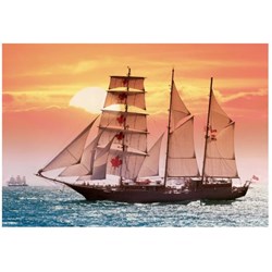 Castorland (C-100392) - "Sailing ship in the sunset" - 1000 piezas