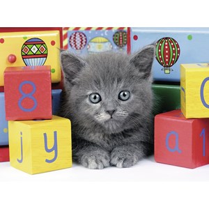 Ravensburger (13908) - "Grey Kitten" - 200 piezas