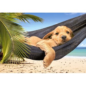 Castorland (B-51144) - "Leisure Time" - 500 piezas