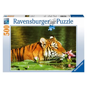 Ravensburger (14245) - "Tiger entre the water lilies" - 500 piezas