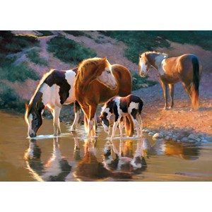 Castorland (B-52097) - "Night Cap" - 500 piezas