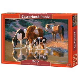 Castorland (B-52097) - "Night Cap" - 500 piezas