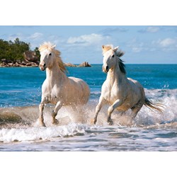 Castorland (C-102433) - "White Camargue Horses" - 1000 piezas