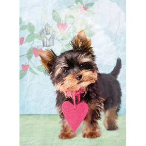 Ravensburger (14335) - "What a cutie!" - 500 piezas