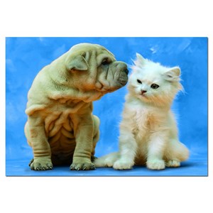 Educa (14806) - "Secrets" - 500 piezas