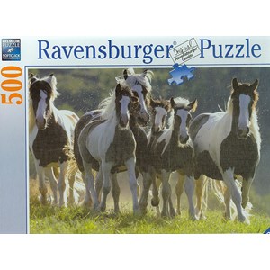 Ravensburger (14181) - "Group of Wild Horses" - 500 piezas