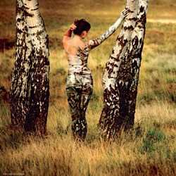 Heye (29424) - "Metamorphose" - 1000 piezas