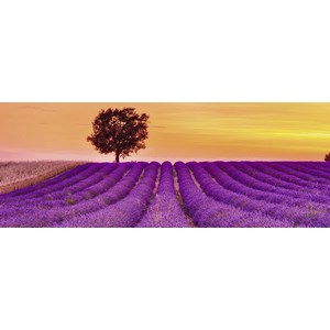 Ravensburger (15068) - "Lavender Fields" - 1000 piezas