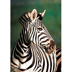 Trefl (10504) - "Zebra" - 1000 piezas