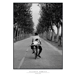 Ravensburger (19140) - Elliott Erwitt: "Provence 1955" - 1000 piezas