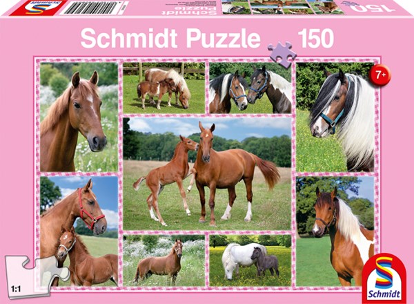 Schmidt Spiele (56269) - "Horse Dreams" - 150 piezas