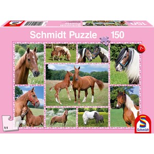 Schmidt Spiele (56269) - "Horse Dreams" - 150 piezas