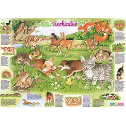 Schmidt Spiele (56290) - "This Is How Baby Animal Live" - 150 piezas