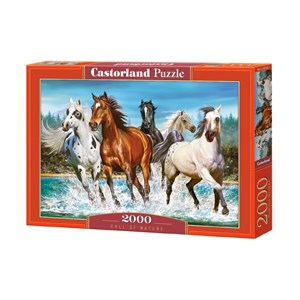 Castorland (C-200702) - "Call of Nature" - 2000 piezas