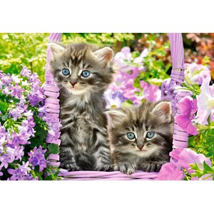 Castorland (C-104086) - "Kitten in Summer Garden" - 1000 piezas