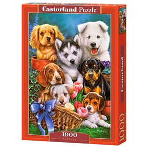 Castorland (C-104048) - "Puppies" - 1000 piezas