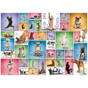 Eurographics (6000-0954) - "Yoga Dogs" - 1000 piezas