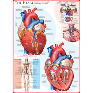 Eurographics (6000-0257) - "The Heart" - 1000 piezas