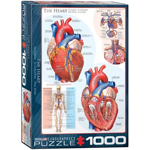 Eurographics (6000-0257) - "The Heart" - 1000 piezas