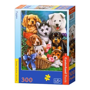Castorland (B-030323) - "Puppies" - 300 piezas