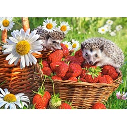 Castorland (B-222025) - "Strawberry Dessert" - 200 piezas