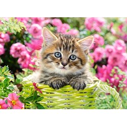 Castorland (B-111039) - "Kitten in Flower Garden" - 100 piezas