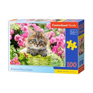 Castorland (B-111039) - "Kitten in Flower Garden" - 100 piezas