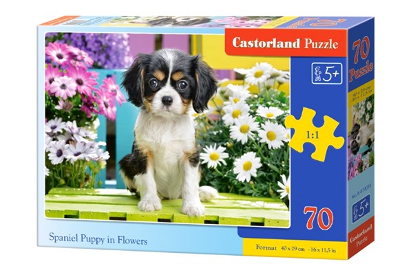 Castorland (B-070053) - "Spaniel Puppy in Flowers" - 70 piezas