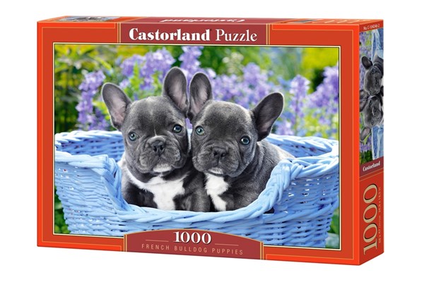 Castorland (C-104246) - "French Bulldog Puppies" - 1000 piezas