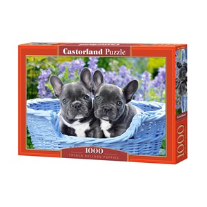Castorland (C-104246) - "French Bulldog Puppies" - 1000 piezas