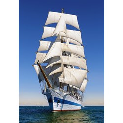 Castorland (C-104239) - "Under Full Sail" - 1000 piezas