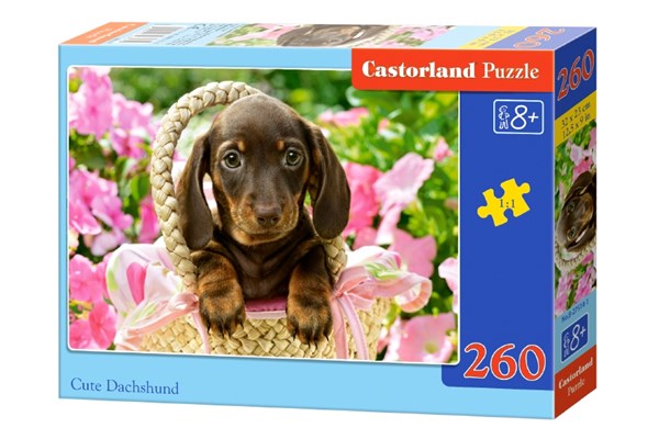 Castorland (B-27514) - "Cute Dachshund" - 260 piezas