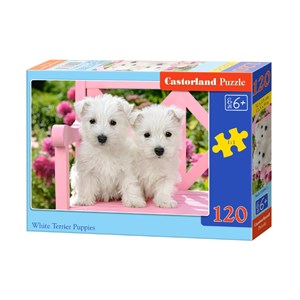 Castorland (B-13494) - "White Terrier Puppies" - 120 piezas