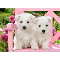 Castorland (B-13494) - "White Terrier Puppies" - 120 piezas