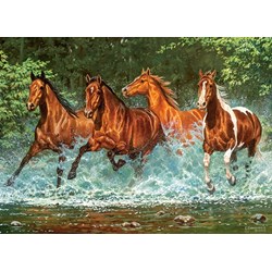 Castorland (B-030361) - "Cascade Run" - 300 piezas