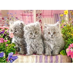 Castorland (B-030330) - "Three Grey Kittens" - 300 piezas
