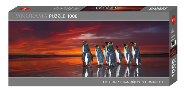 Heye (29858) - Wim van den Heever: "King Penguins" - 1000 piezas