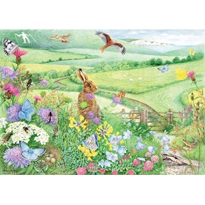 Ravensburger (15176) - Anne Searle: "Walking World, South Downs" - 1000 piezas