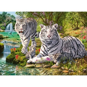 Ravensburger (14793) - "White Tigers" - 500 piezas