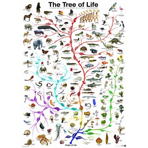 Eurographics (6000-0282) - "The Tree of Life" - 1000 piezas